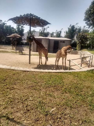 Parque Los Jardines I