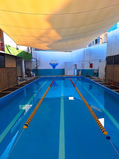 Academia de Natacion Arena´s